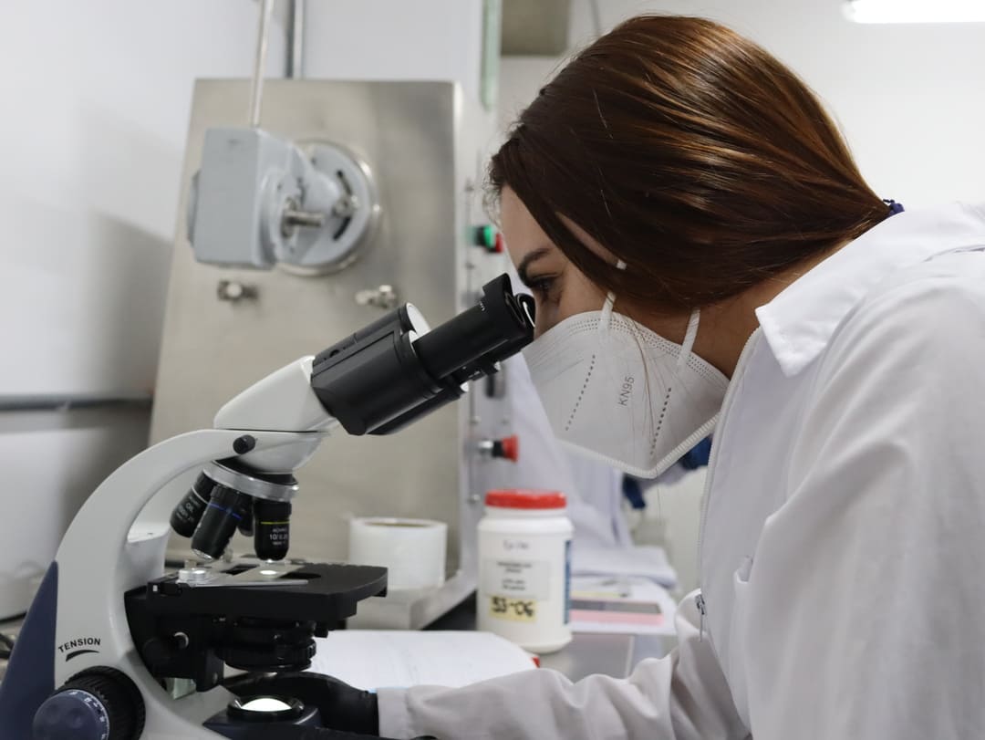 salesiana quimica