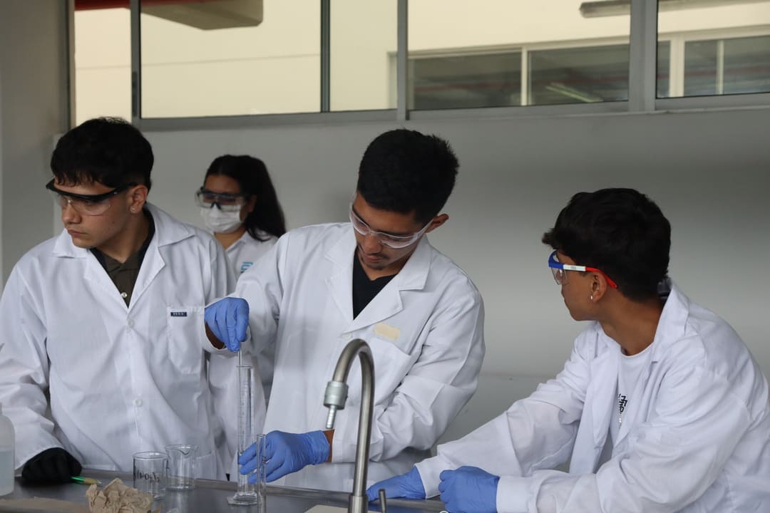 usalesiana quimica